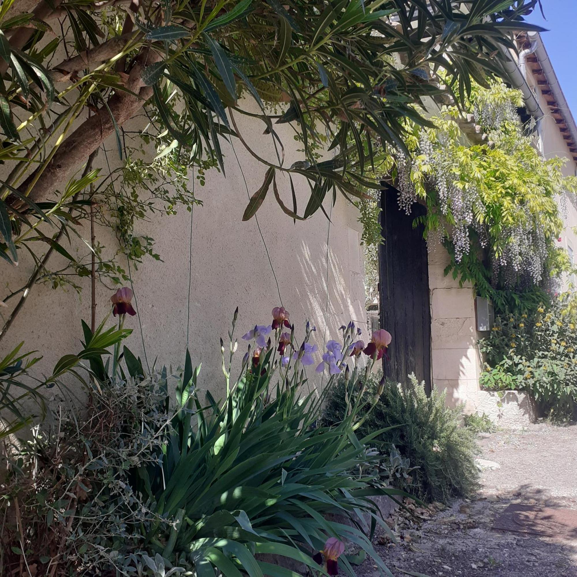 Vila Les Gres Logis De Charme Grignan Exteriér fotografie